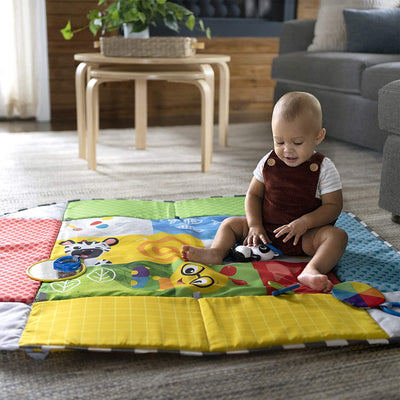 Baby Einstein Newborn 5 in 1 Ball Pit Gym Playspace Activity Play Center Mat - VMInnovations