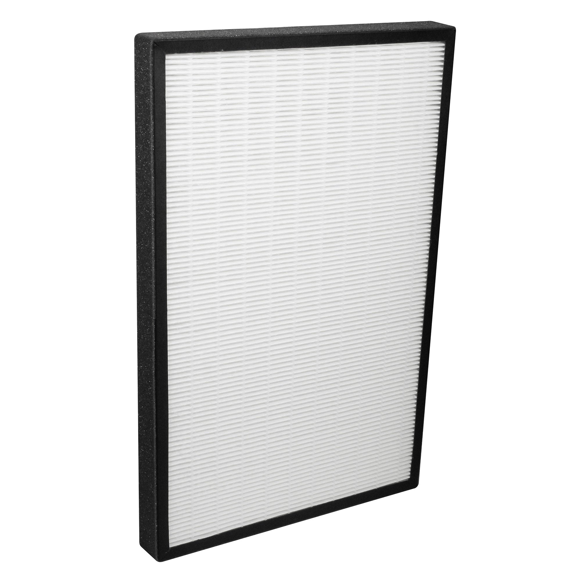 ENVION Allergy Pro True HEPA Germ Particle Removing Replacement Filter (Used) - VMInnovations
