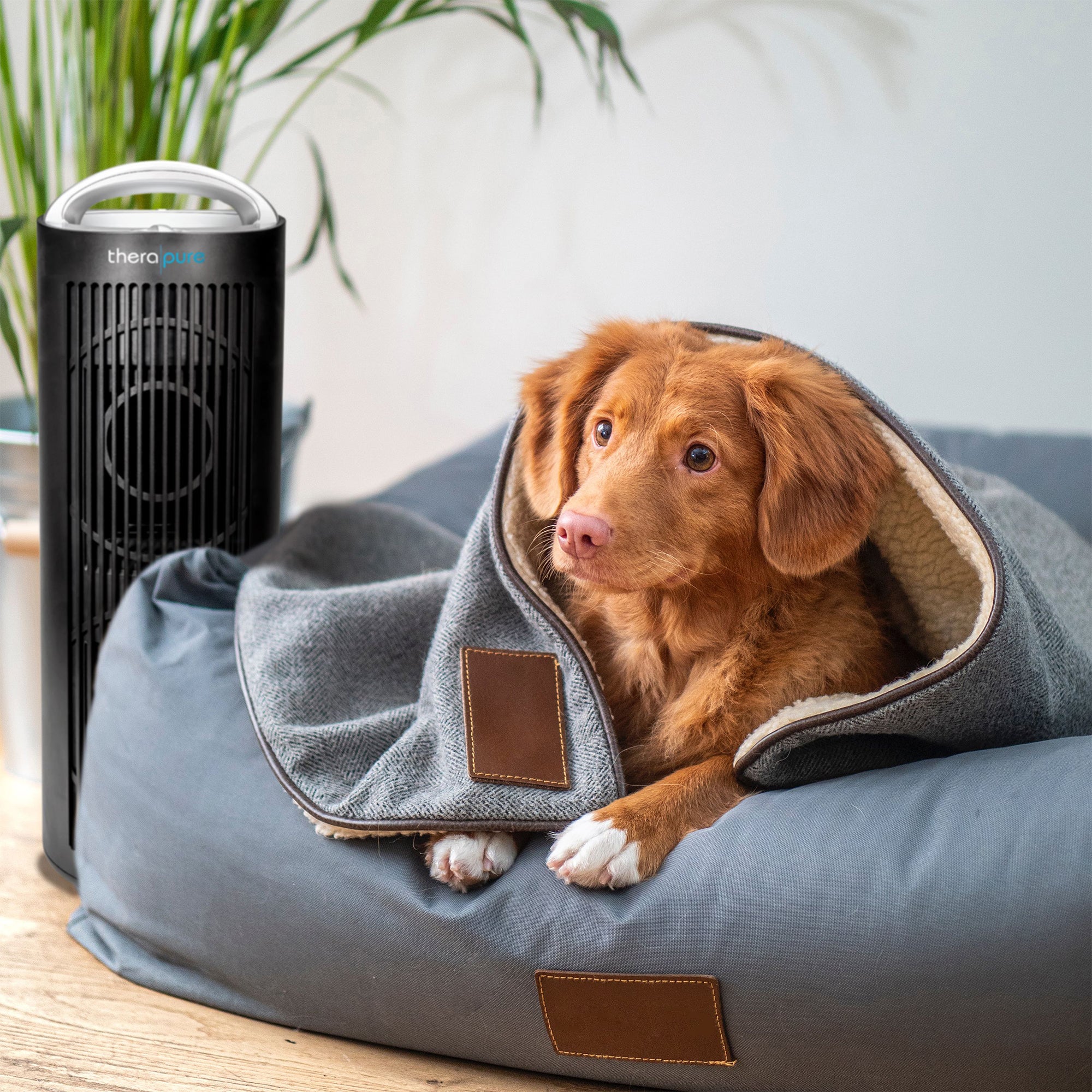 ENVION Therapure Tower UV-C 4 Stage Air Purifier with 3 Fan Speeds, Black (Used) - VMInnovations