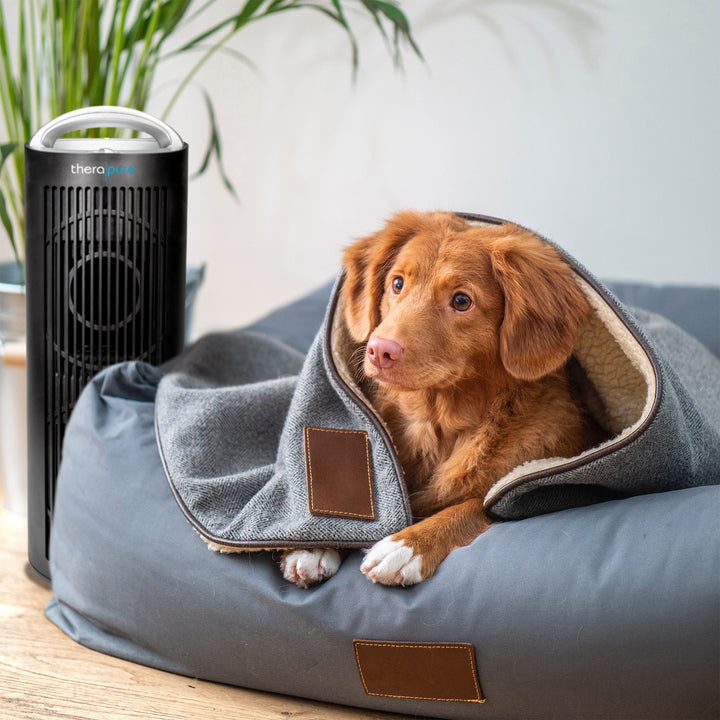ENVION Therapure Tower UV-C 4 Stage Air Purifier with 3 Fan Speeds, Black (Used)