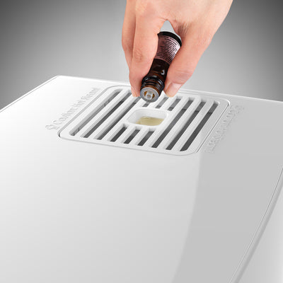 BONECO S200 Large Room Steam Humidifier with Hand Warm Mist and Analog Display