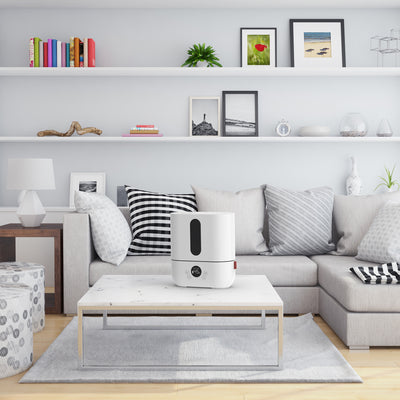 BONECO Large Room Quiet Ultrasonic Mist Humidifier w/ Auto Shutoff (Open Box) - VMInnovations