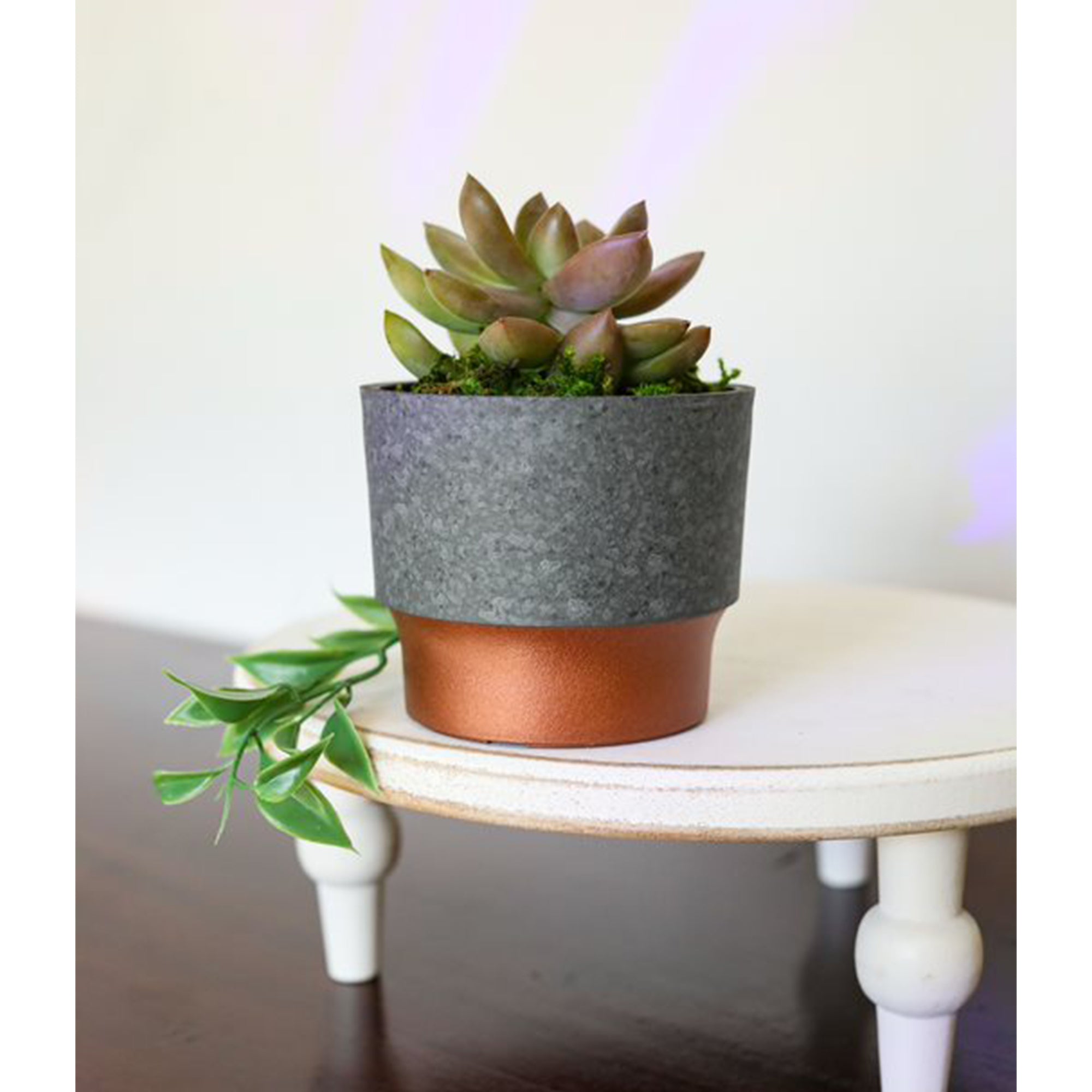 The HC Companies 3" Sprite Indoor Succulent Planter Pot, Faux Concrete Copper