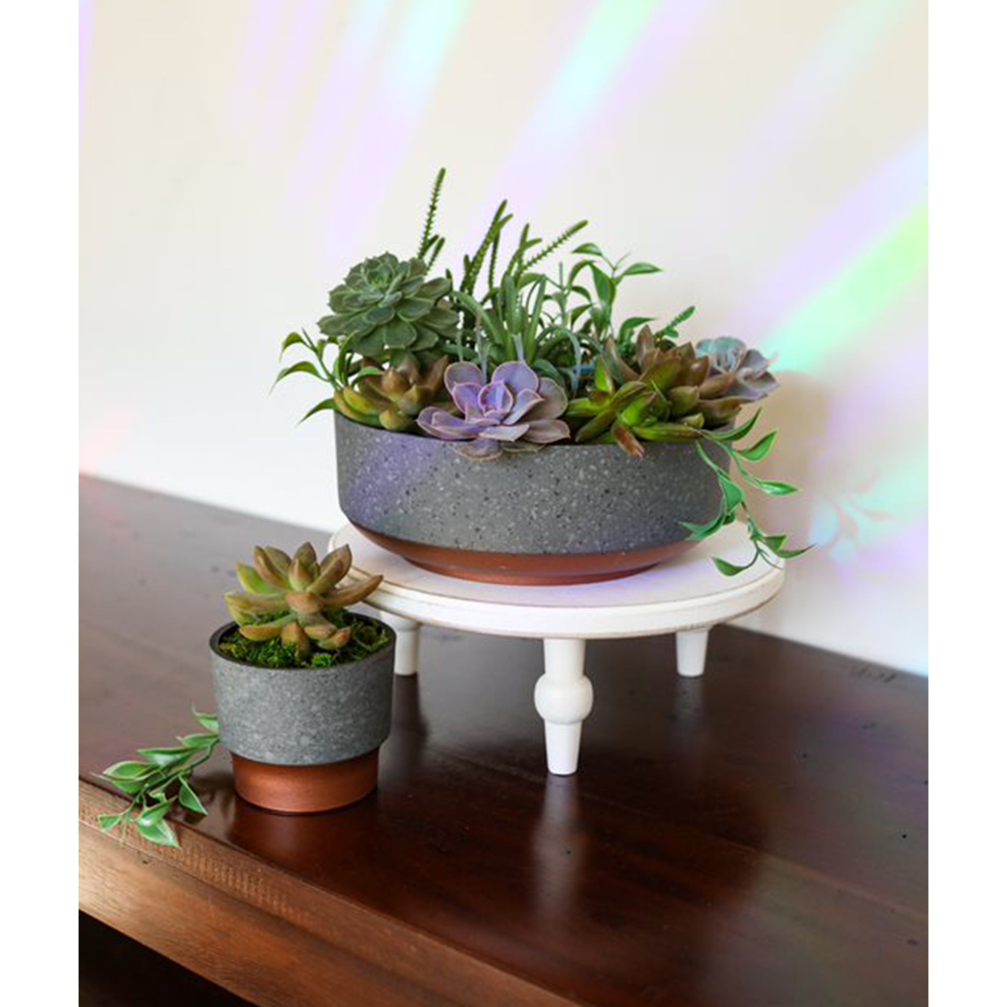 The HC Companies 8 In Capri Bowl Indoor Succulent Planter, Faux Concrete Copper - VMInnovations