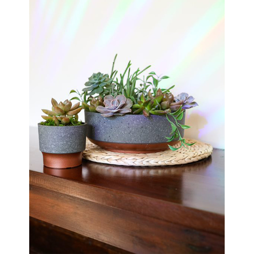 The HC Companies 8 In Capri Bowl Indoor Succulent Planter, Faux Concrete Copper