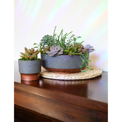 The HC Companies 3in Sprite Succulent Planter Pot, Faux Concrete Copper (2 Pack)