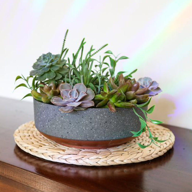 The HC Companies 8 In Capri Bowl Indoor Succulent Planter, Faux Copper (Used)