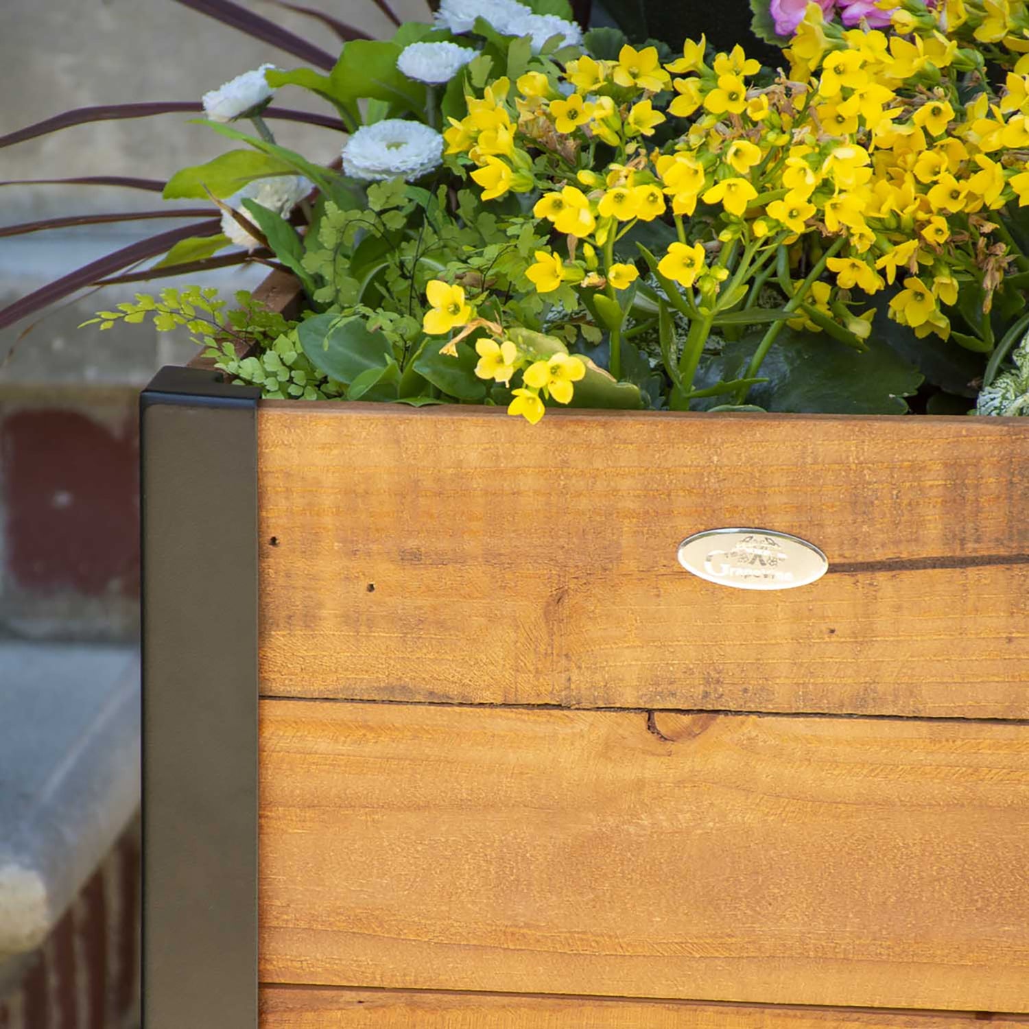Grapevine Urban Garden Recycled Pine Square Raised Planter Box (Open Box)