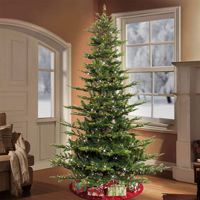 Puleo International 7.5' Pre-lit Christmas Tree w/ 700 Clear Lights, Green(Used) - VMInnovations