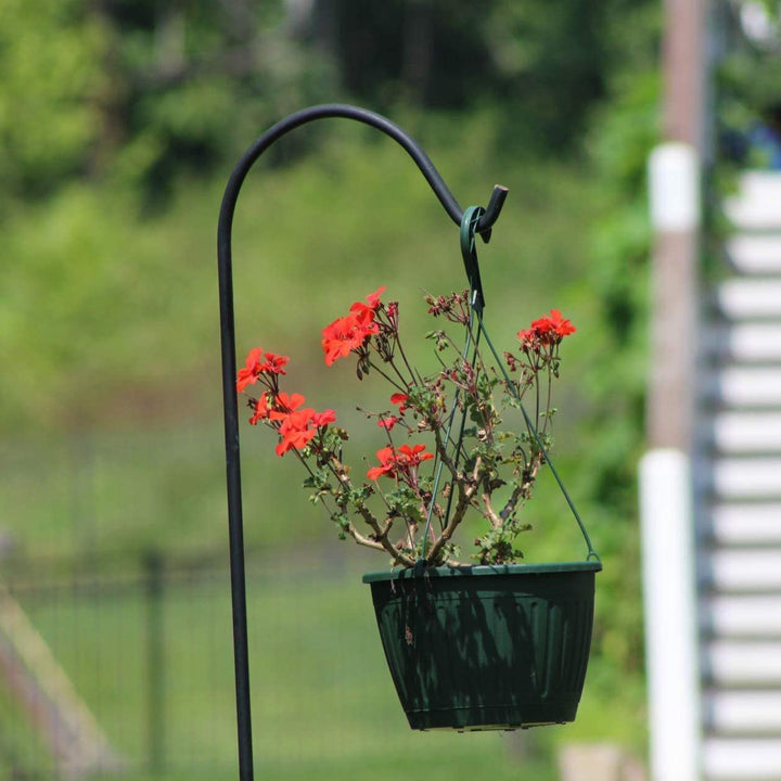 Ashman 92 Inch Shepherd's Hook Premium Metal Garden Plant Hanger (3 Pack) (Used) - VMInnovations