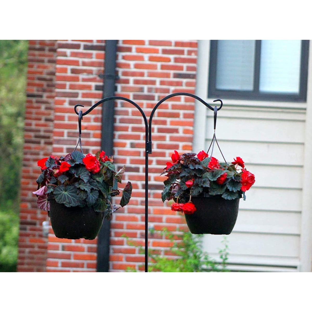 Ashman Premium Steel Shepherd's Hook 65 Inch 2 Sided, Black, 2 Pack (Open Box)