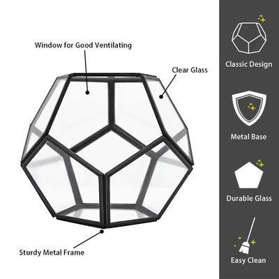 Banord Modern Geometric 6.5 In Tall Tabletop Terrarium w/ Metal Frame (3 Pack)