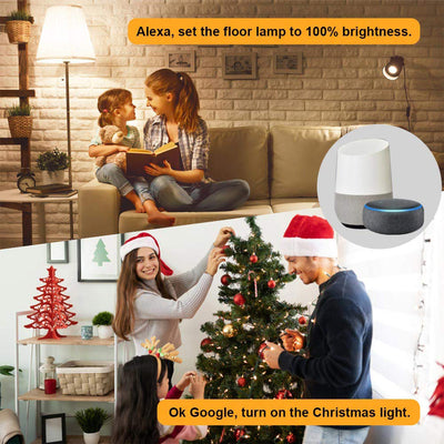 Banord Smart WiFi Dimmer Plug for LED and Incandescent String Lights (2 Pack)