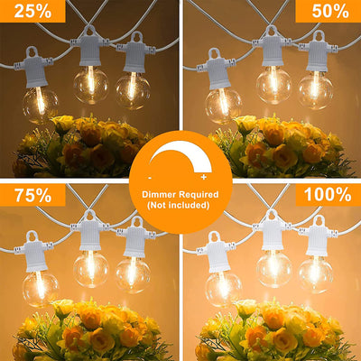 Banord LED 97 Foot String Lights, 48 Shatterproof Plastic Bulbs (Open Box)