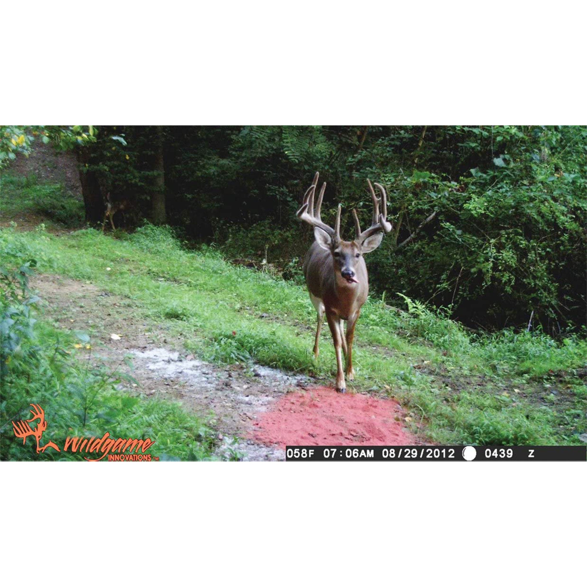 Wildgame Innovations Premium Sugarbeet Crushed Deer Attractant, 15 Pound Bag - VMInnovations