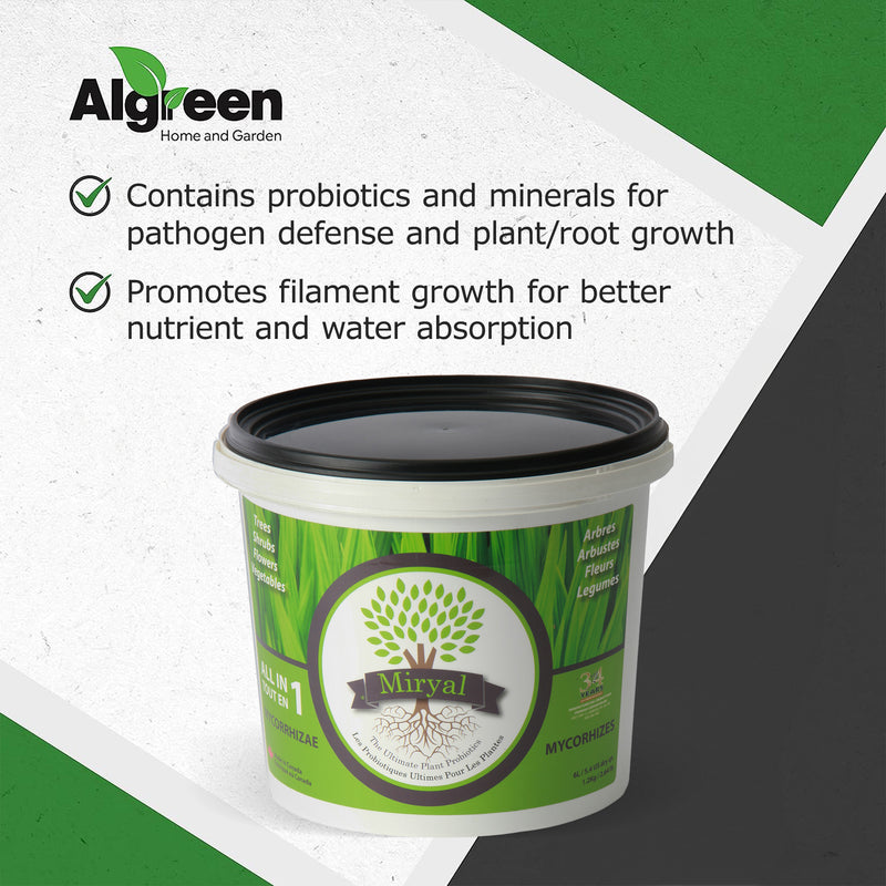 Algreen Miryal All In 1 Mycorrhizae Inoculant Plant Probiotic Soil Amendment