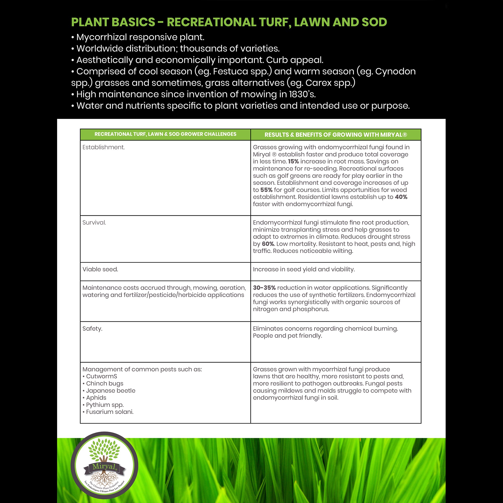 Algreen Miryal All In 1 Mycorrhizae Inoculant Plant Probiotic Soil Amendment - VMInnovations