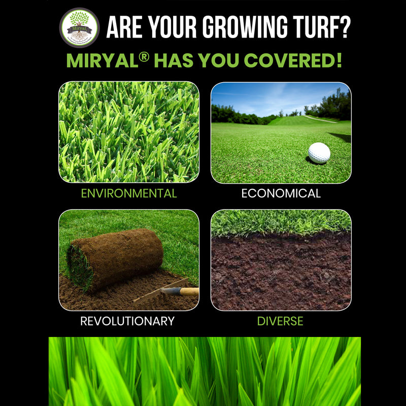 Algreen Miryal All In 1 Mycorrhizae Inoculant Plant Probiotic Soil Amendment
