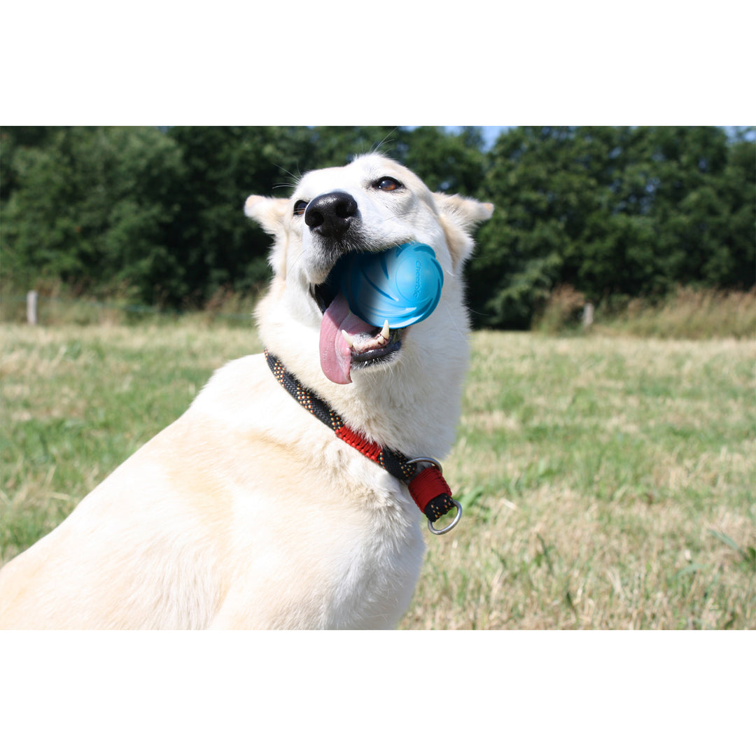 Cheerble Wicked Cyclone Automatic Interactive Dog Toy Ball, Blue (Used)