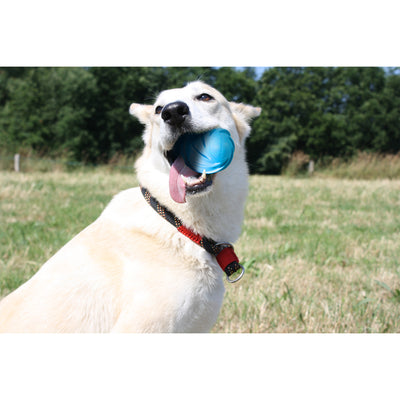 Cheerble Wicked Cyclone Indoor Outdoor Automatic Interactive Dog Toy (Open Box) - VMInnovations