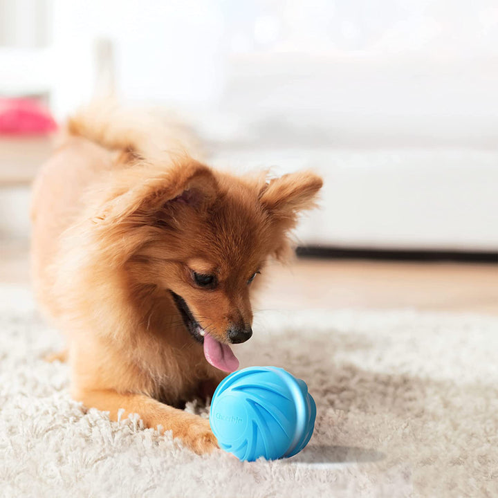 Cheerble Wicked Cyclone Automatic Interactive Dog Toy Ball, Blue (Used)