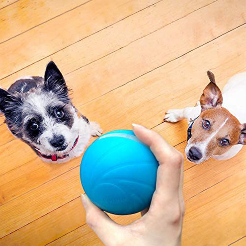 Cheerble Wicked Self Propelling Interactive Dog Toy Ball, Blue (Used)