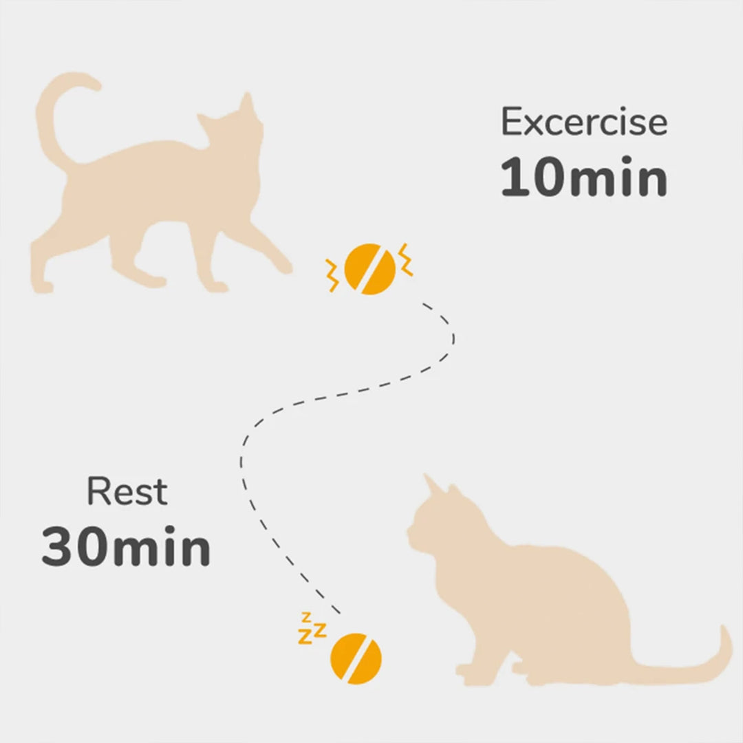 Cheerble Automatic Self Propelling 3 Speed Interactive Pet Cat Toy Ball, Green