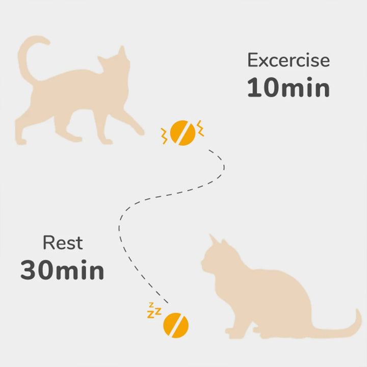 Cheerble Automatic Self Propelling 3 Speed Interactive Pet Cat Toy Ball, Green