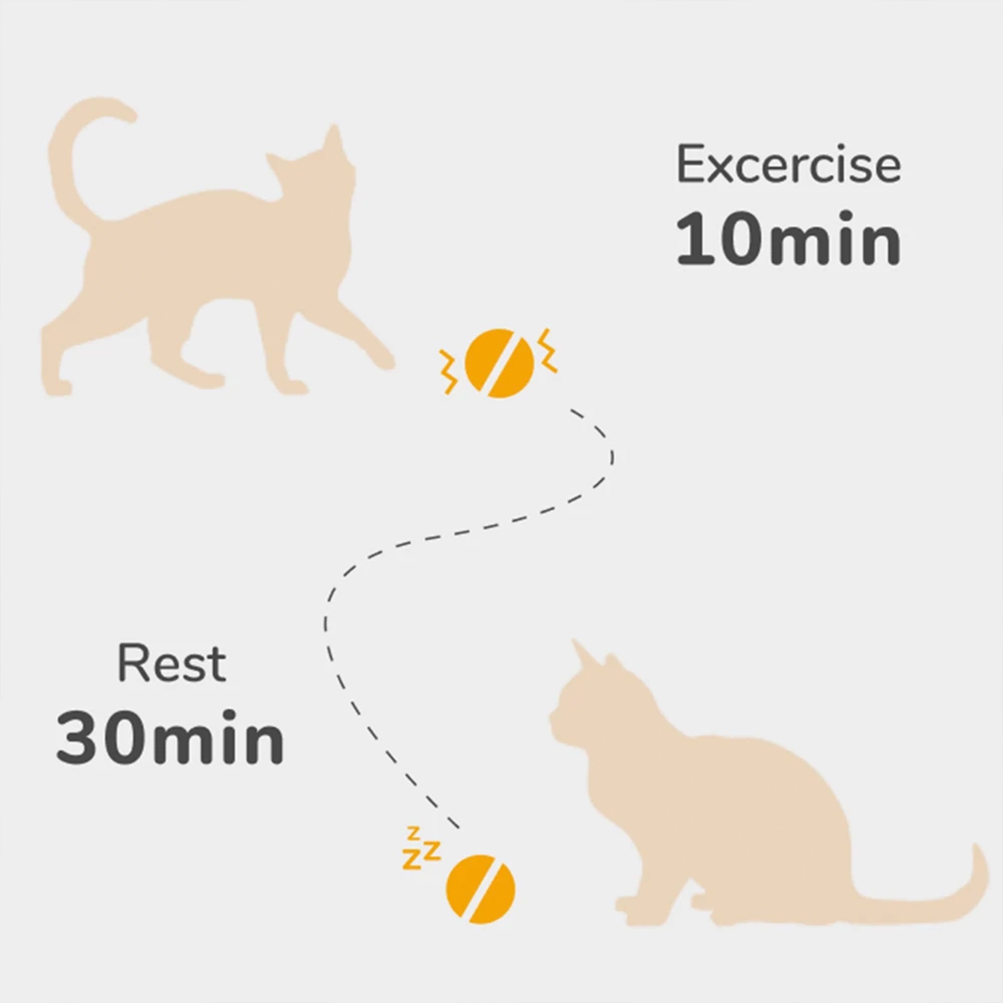 Cheerble Automatic Propelling 3 Speed Interactive Pet Cat Ball (Open Box) - VMInnovations