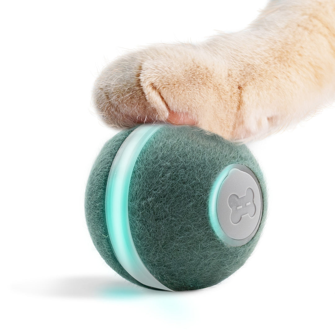 Cheerble Automatic Self Propelling 3 Speed Interactive Pet Cat Toy Ball, Green