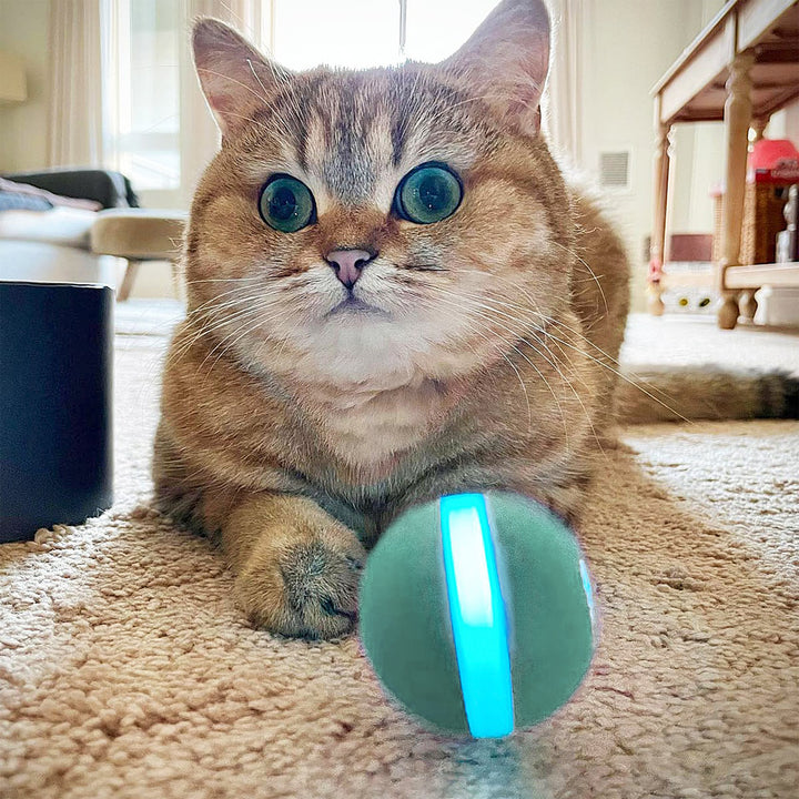 Cheerble Automatic Self Propelling 3 Speed Interactive Pet Cat Toy Ball, Green