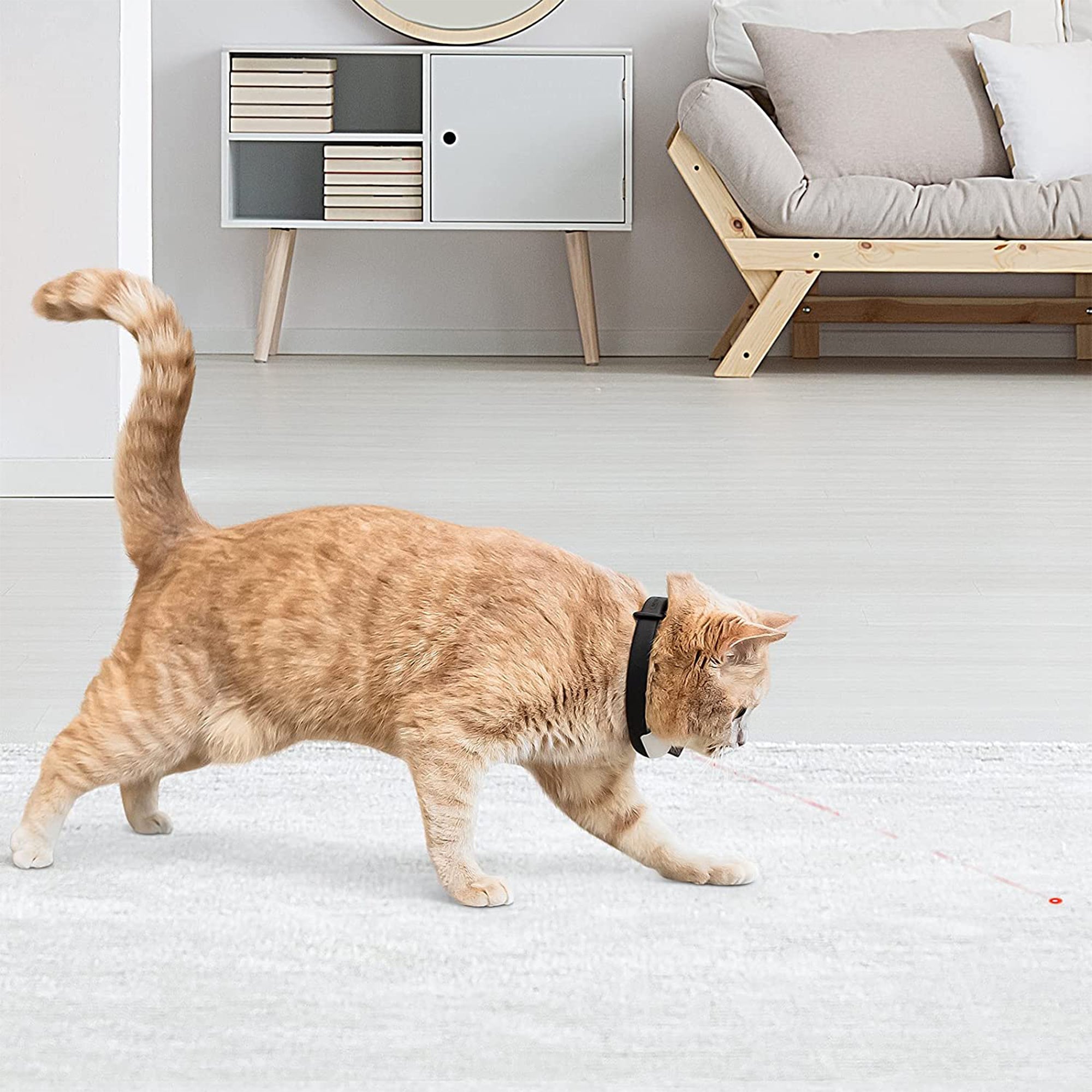 Cheerble KiTiDOT Amusing Collar Laser Cat Toy with Rechargeable Battery (Used)