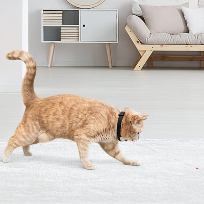 Cheerble KiTiDOT Amusing Collar Laser Cat Toy with Rechargeable Battery (Used)