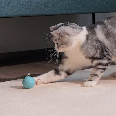 Cheerble M1 Interactive Cat Ball with 3 Modes and Auto Obstacle Avoidance (Used) - VMInnovations