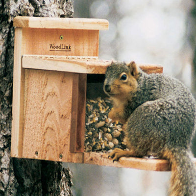 Woodlink Handcrafted Natural Squirrel and Chipmunk Munch Box Feeder w/ Hinge Lid - VMInnovations