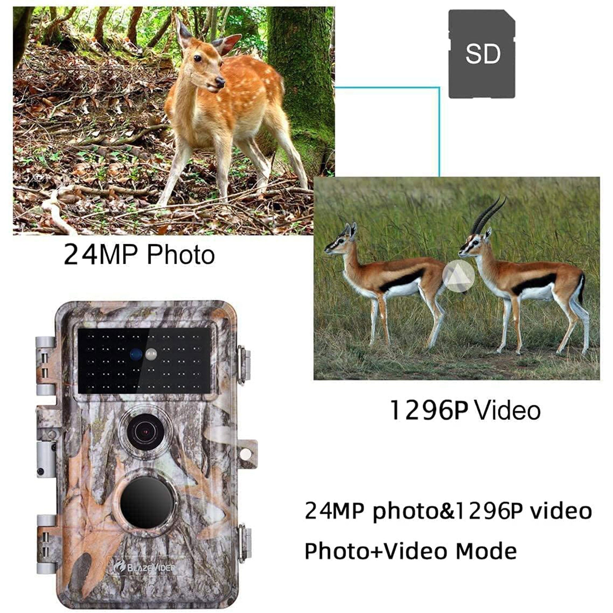 BlazeVideo Waterproof Motion Activated Trail Cameras with Night Vision, 2 Pack