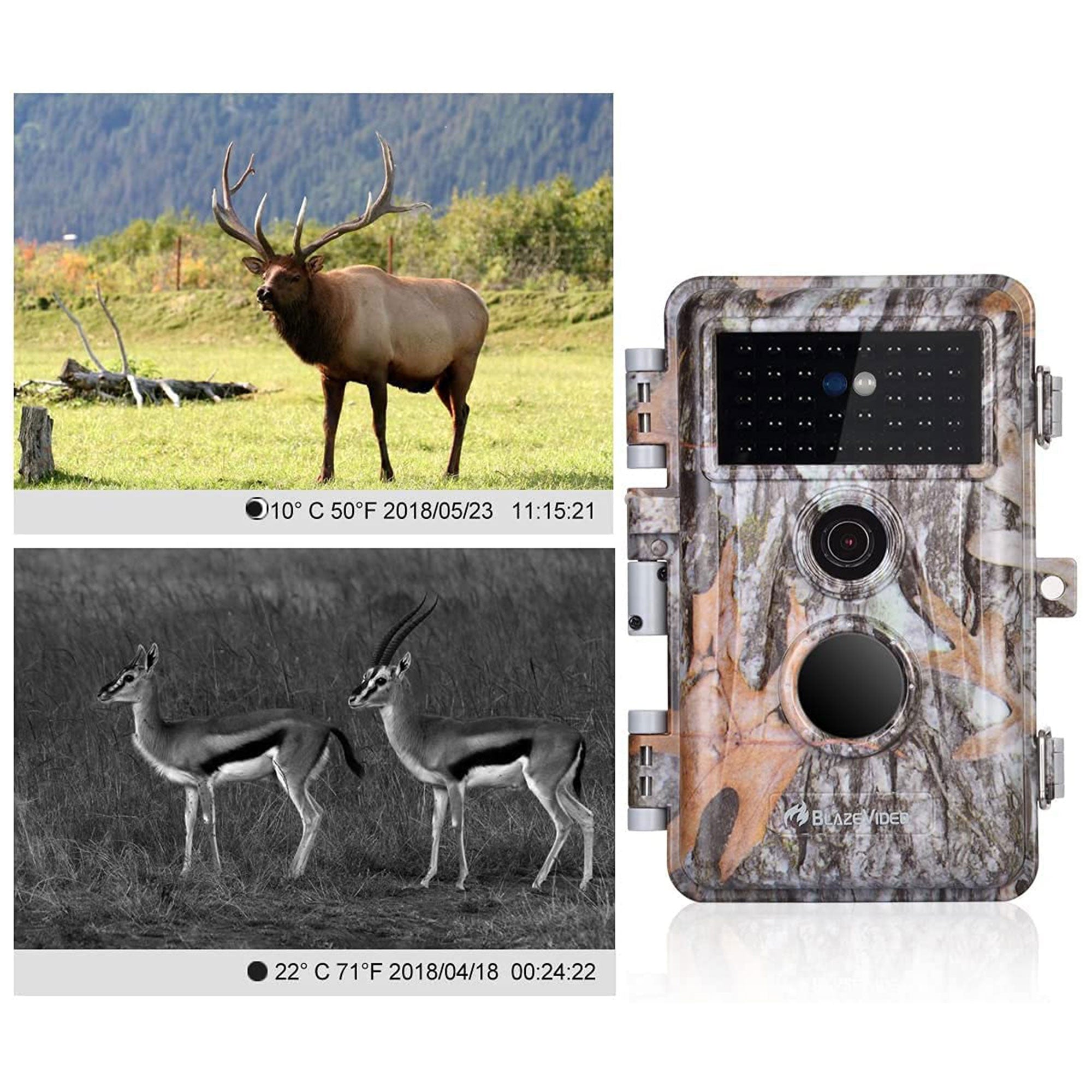 BlazeVideo Waterproof Motion Activated Trail Cameras with Night Vision, 2 Pack