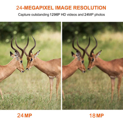 BlazeVideo Waterproof Motion Activated Trail Cameras with Night Vision, 2 Pack