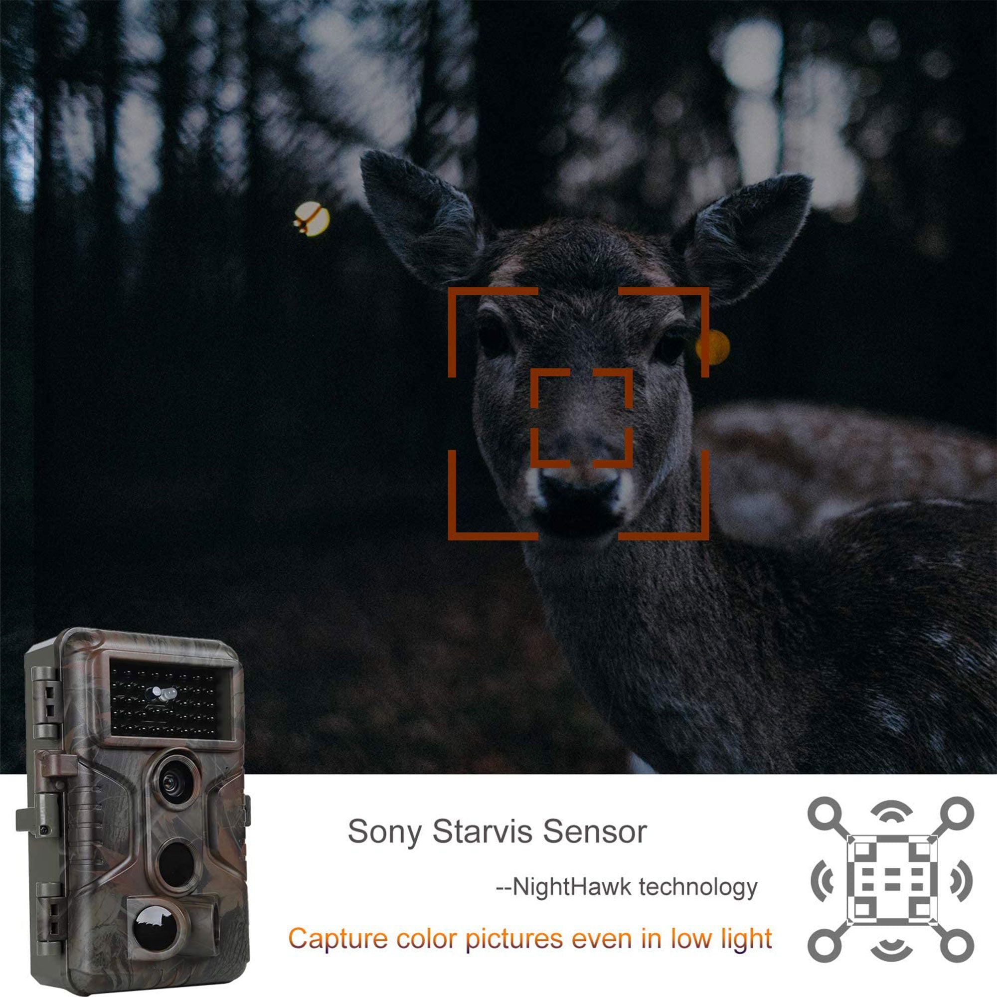 Agitato No Glow Game and Deer Trail Camera with 100 Foot Night Vision (2 Pack)