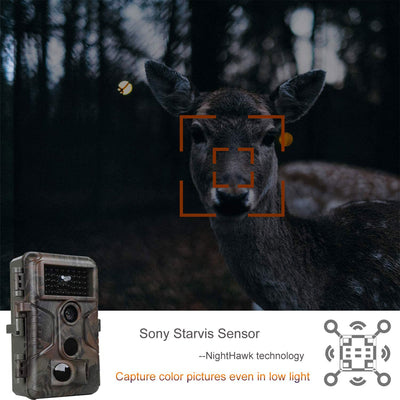 Agitato No Glow Game and Deer Trail Camera with 100 Foot Night Vision (2 Pack)