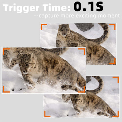 Agitato No Glow Game and Deer Trail Camera with 100 Foot Night Vision (2 Pack)