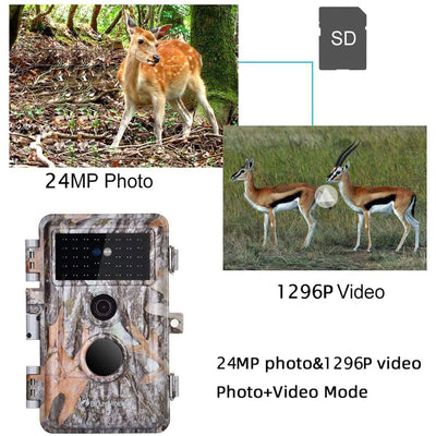 BlazeVideo Wireless Waterproof Motion Activated Trail Camera with Night Vision