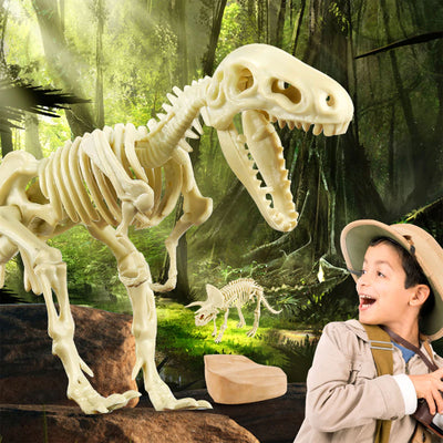 Science Can Deluxe Dinosaur Fossil Dig Kit for Children Ages 6 and Up (Open Box) - VMInnovations