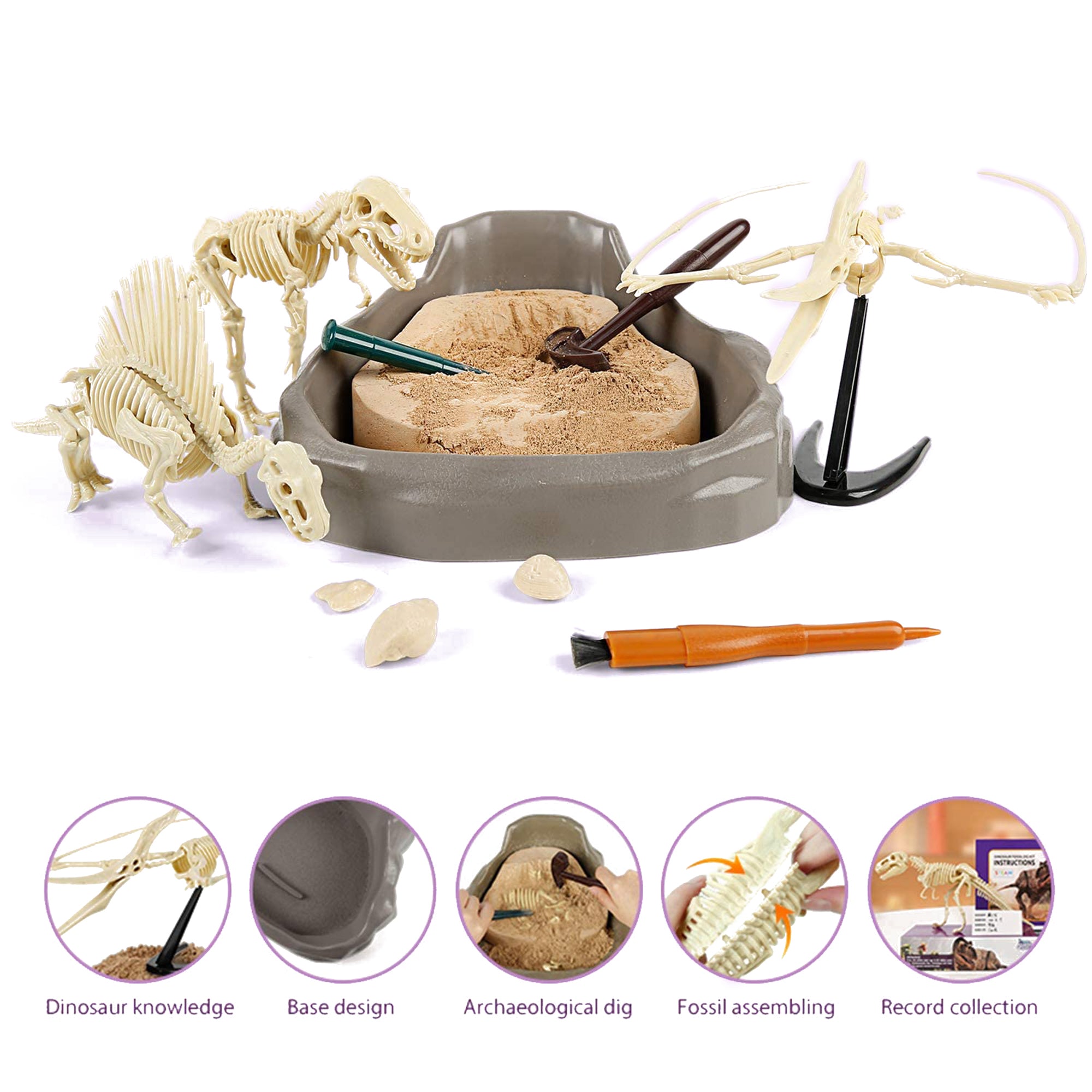 Science Can 160003G-1 Mesozoic Era Super Dinosaur Fossil Dig Kit for Ages 6 & Up - VMInnovations