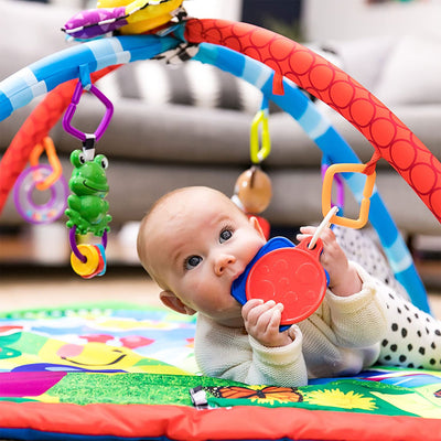 Baby Einstein Caterpillar and Friends Lights and Music Infant Activity Gym Mat