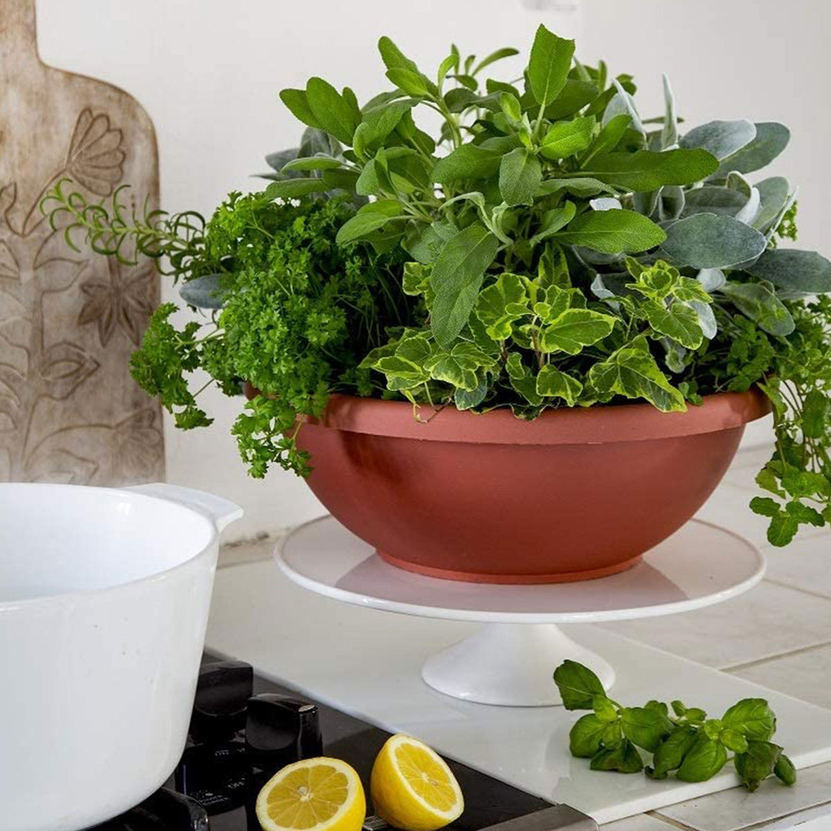 The HC Companies GAB18000E21C006LRTOX 18" Garden Bowl Planter, Chocolate (Used) - VMInnovations