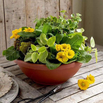 The HC Companies GAB18000E21C006LRTOX 18" Garden Bowl Planter, Chocolate (Used) - VMInnovations