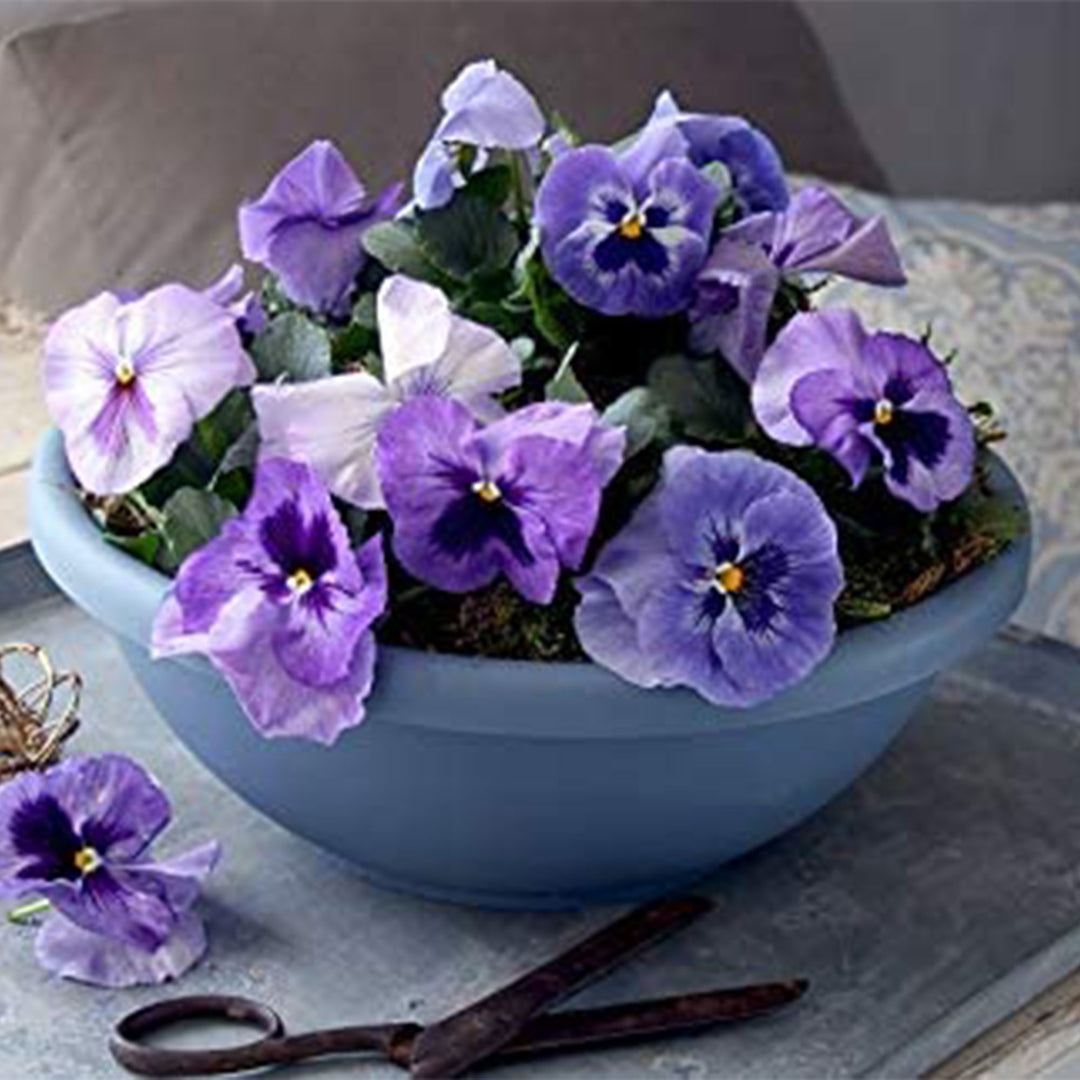 The HC Companies GAB18000E21C006LRTOX 18" Garden Bowl Planter, Chocolate (Used)