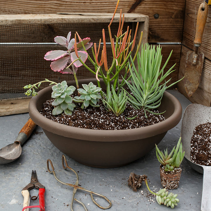 The HC Companies GAB18000E21C006LRTOX 18" Garden Bowl Planter, Chocolate (Used)