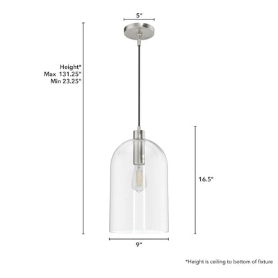 Hunter Fan Company Lochemeade 1 Bulb Glass Dome Adjustable Hanging Pendant Light - VMInnovations